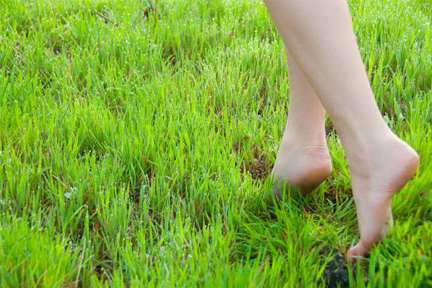 Walking Barefoot On Grass Improves Your Health