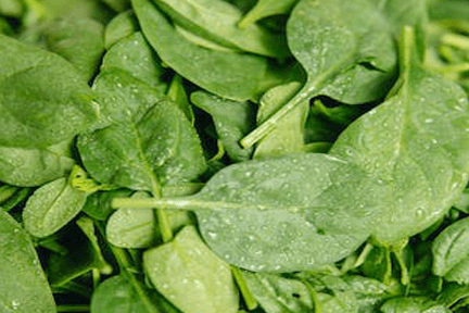 Spinach